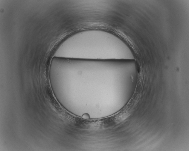 X0000070190306200605261011