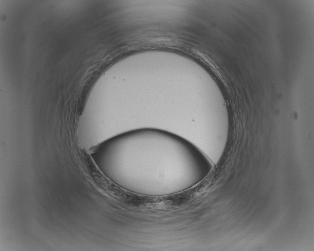 X0000070190307200605261011