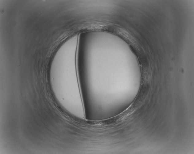 X0000070190309200605261011