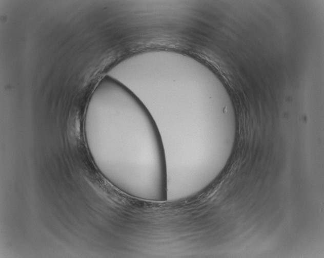 X0000070190310200605261011