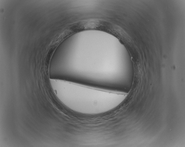 X0000070190311200605261011