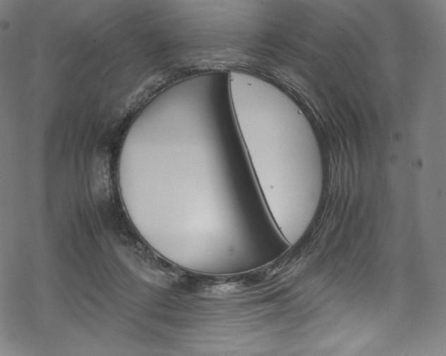 X0000070190312200605261011