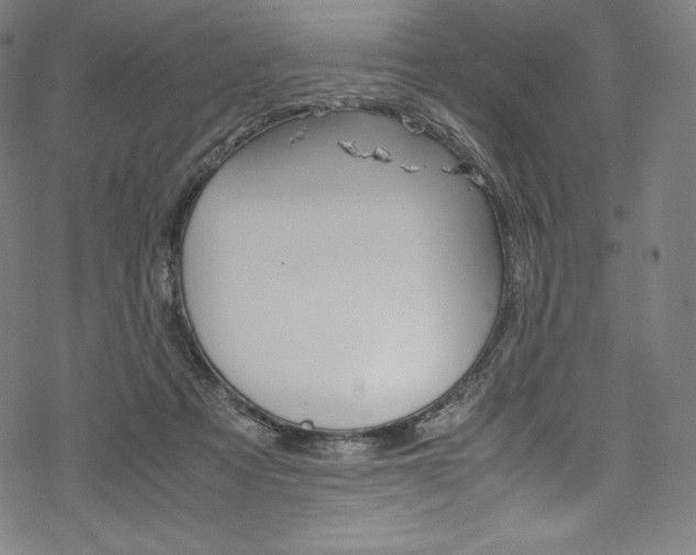 X0000070190313200605261011