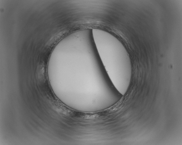 X0000070190314200605261011