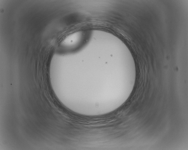 X0000070190315200605261011