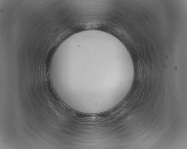 X0000070190316200605261011