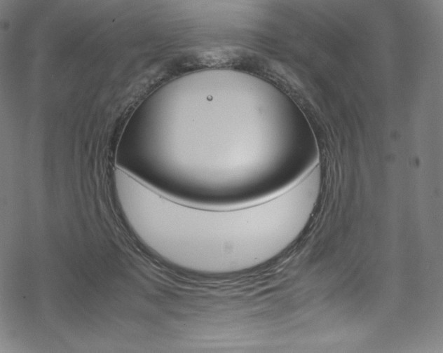 X0000070190317200605261011