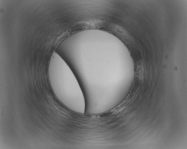 X0000070190318200605261011