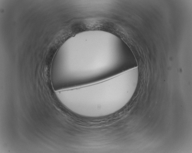 X0000070190319200605261011