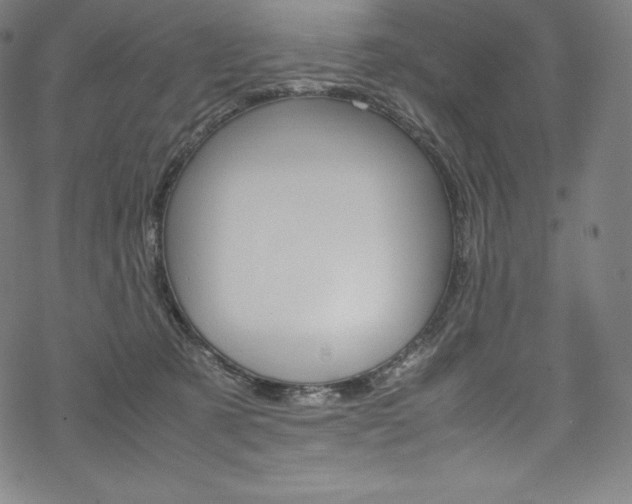 X0000070190321200605261011