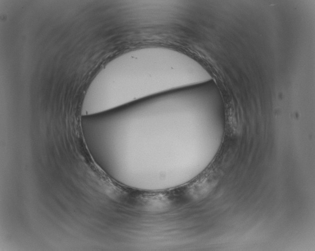 X0000070190322200605261011