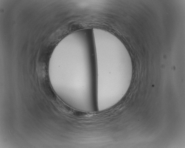 X0000070190323200605261011