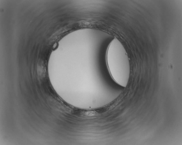 X0000070190324200605261011