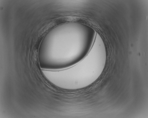 X0000070190325200605261011