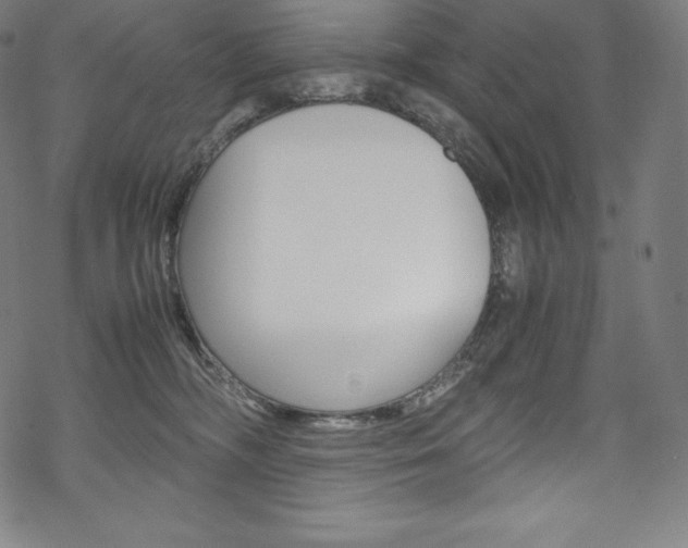 X0000070190326200605261011