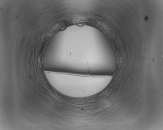 X0000070190327200605261011