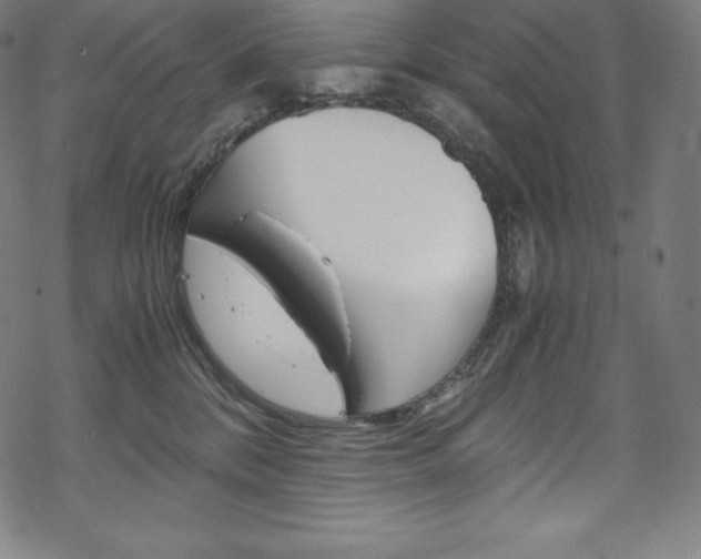 X0000070190328200605261011