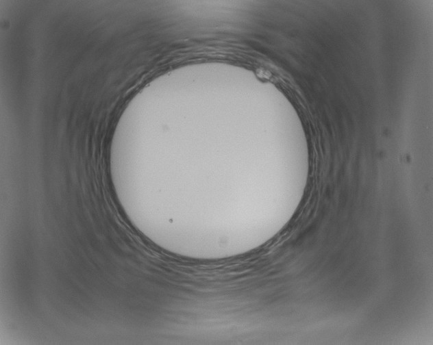 X0000070190329200605261011