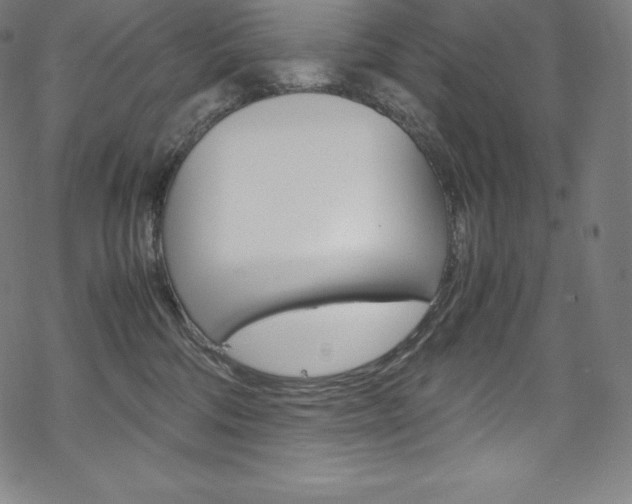 X0000070190330200605261011