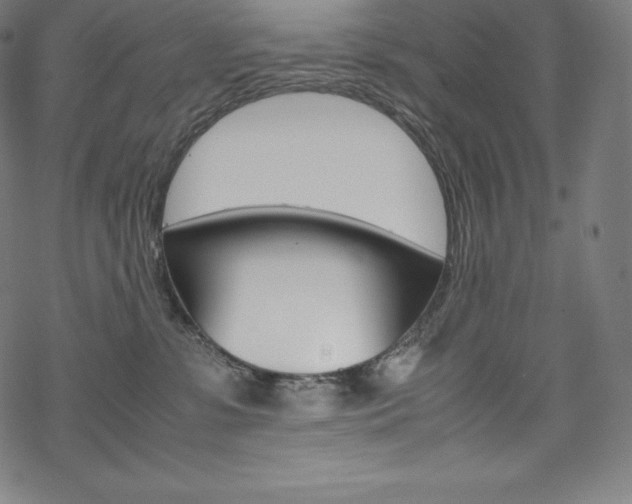 X0000070190331200605261011