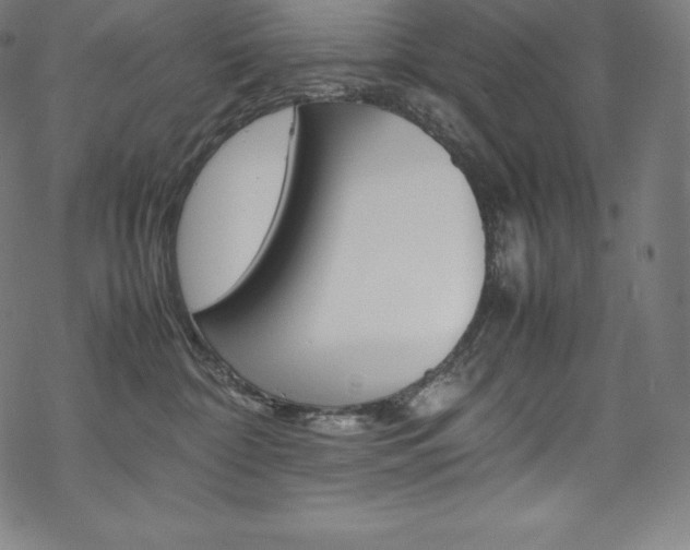 X0000070190332200605261011