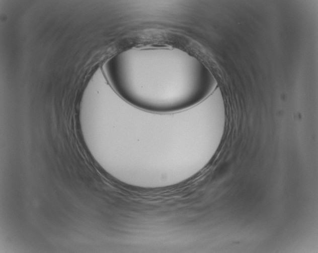 X0000070190333200605261011