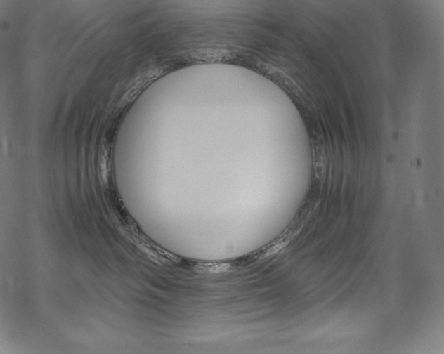 X0000070190334200605261011