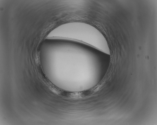 X0000070190335200605261011