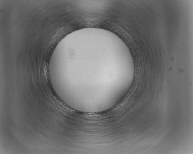 X0000070190336200605261011