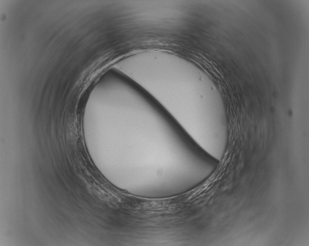 X0000070190338200605261010