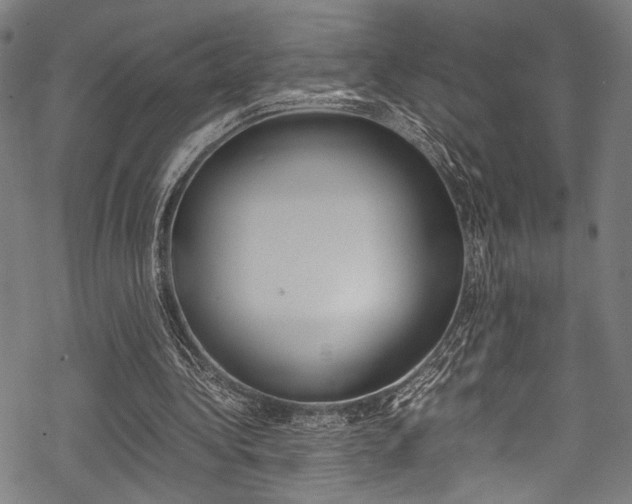 X0000070190340200605261010