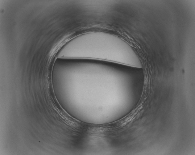 X0000070190341200605261010