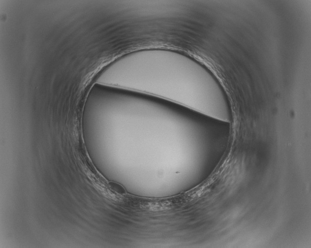 X0000070190345200605261010