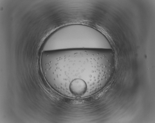 X0000070190346200605261010