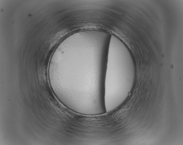 X0000070190347200605261010