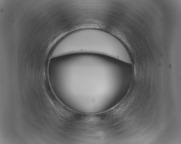 X0000070190348200605261010