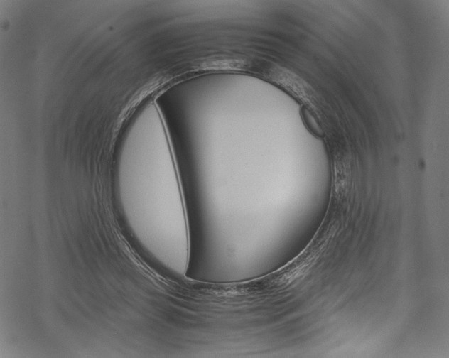 X0000070190349200605261010