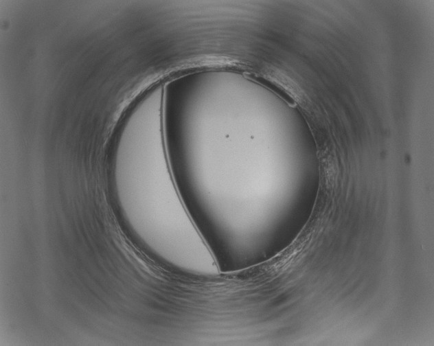 X0000070190350200605261010