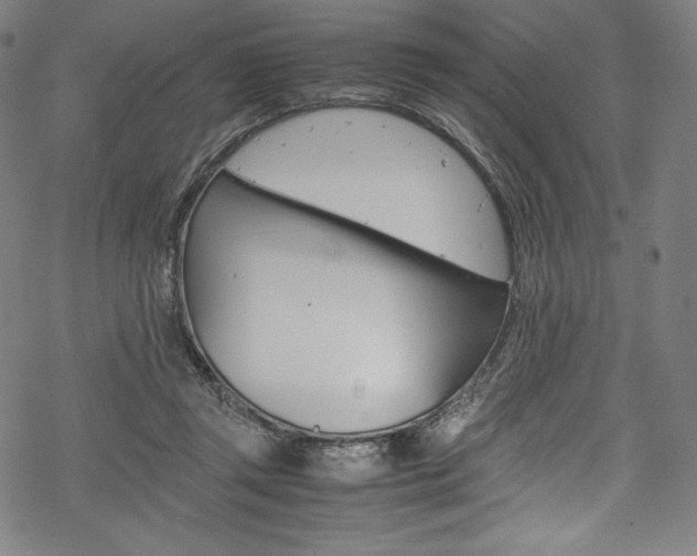 X0000070190357200605261010