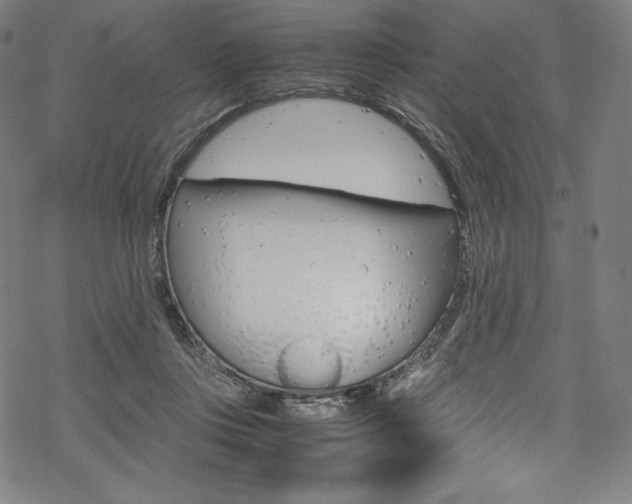 X0000070190359200605261010