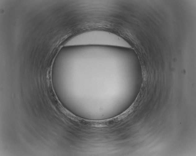 X0000070190360200605261010