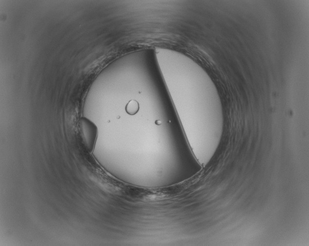 X0000070190364200605261010