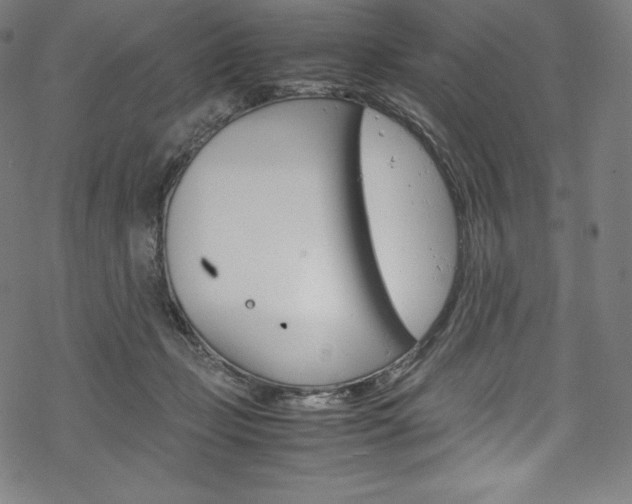 X0000070190365200605261010