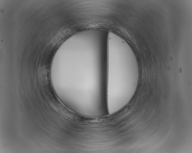 X0000070190366200605261010