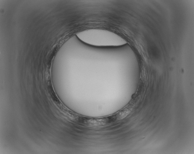 X0000070190367200605261010