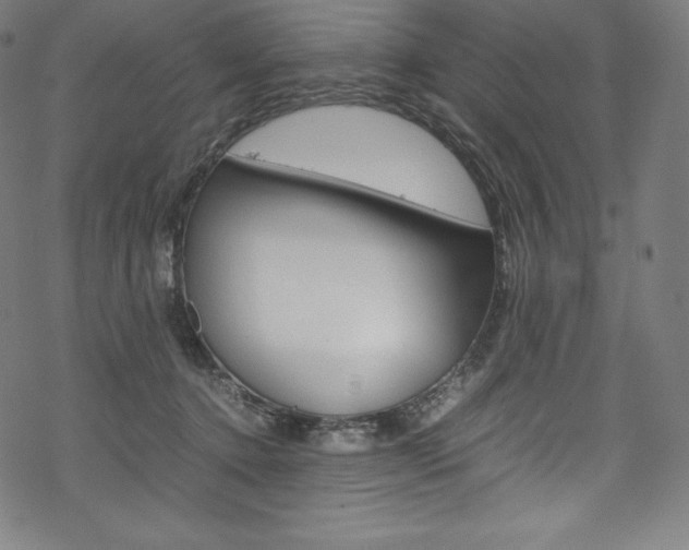 X0000070190368200605261011