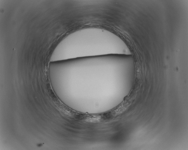 X0000070190369200605261011