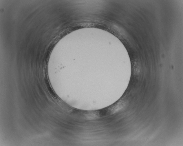 X0000070190370200605261011