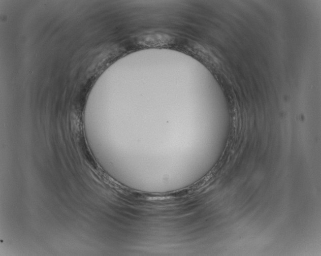 X0000070190371200605261011