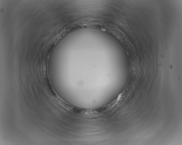 X0000070190372200605261011